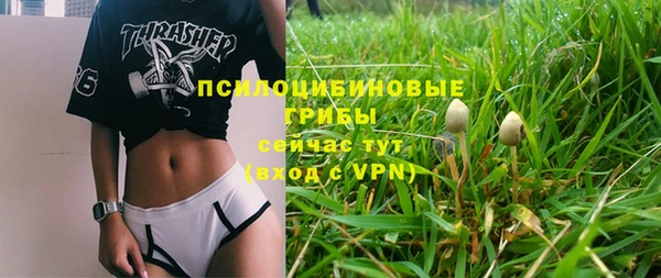 тгк Алзамай