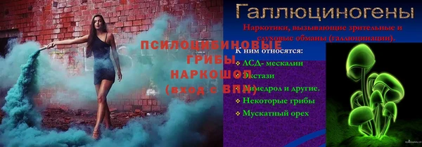 тгк Алзамай