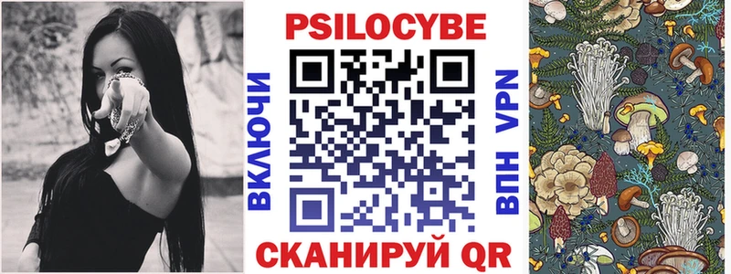 Галлюциногенные грибы Psilocybine cubensis  Пошехонье 